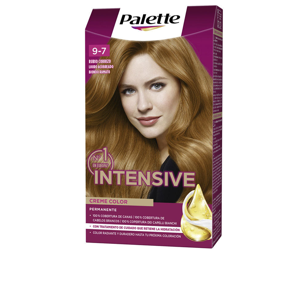 PALETTE INTENSIVE dye