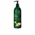 SUPER FOOD blueberry antioxidant body lotion 400 ml