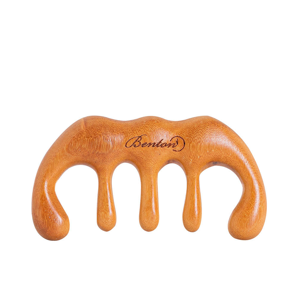 Scalp Brush Massager (1 unit)
