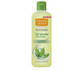 GREEN TEA eau de cologne 700 ml