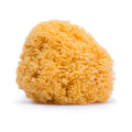 Natural Bath Sponge